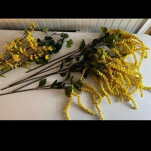 Yellow Amaranthus Spray stems